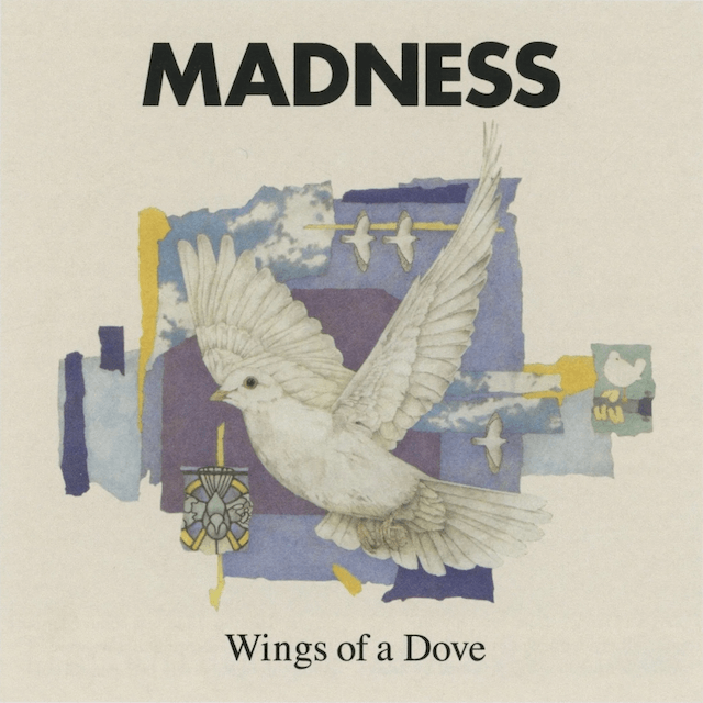wingsofadove 1